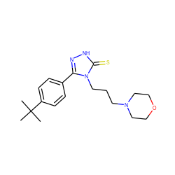 CC(C)(C)c1ccc(-c2n[nH]c(=S)n2CCCN2CCOCC2)cc1 ZINC000002855565