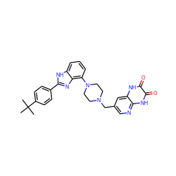 CC(C)(C)c1ccc(-c2nc3c(N4CCN(Cc5cnc6[nH]c(=O)c(=O)[nH]c6c5)CC4)cccc3[nH]2)cc1 ZINC000040901013