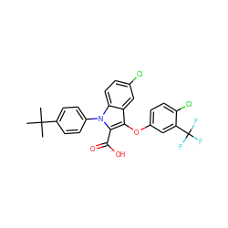 CC(C)(C)c1ccc(-n2c(C(=O)O)c(Oc3ccc(Cl)c(C(F)(F)F)c3)c3cc(Cl)ccc32)cc1 ZINC000028527476