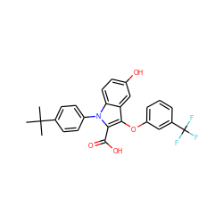 CC(C)(C)c1ccc(-n2c(C(=O)O)c(Oc3cccc(C(F)(F)F)c3)c3cc(O)ccc32)cc1 ZINC000028528909