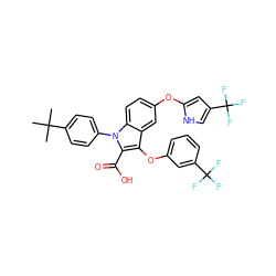 CC(C)(C)c1ccc(-n2c(C(=O)O)c(Oc3cccc(C(F)(F)F)c3)c3cc(Oc4cc(C(F)(F)F)c[nH]4)ccc32)cc1 ZINC000028528081