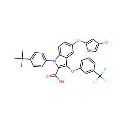 CC(C)(C)c1ccc(-n2c(C(=O)O)c(Oc3cccc(C(F)(F)F)c3)c3cc(Oc4cc(Cl)c[nH]4)ccc32)cc1 ZINC000028528082