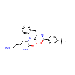 CC(C)(C)c1ccc(C(=O)N[C@@H](Cc2ccccc2)C(=O)N[C@@H](CCCCN)C(N)=O)cc1 ZINC000096909401