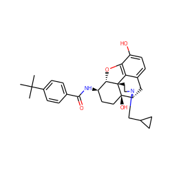 CC(C)(C)c1ccc(C(=O)N[C@@H]2CC[C@@]3(O)[C@H]4Cc5ccc(O)c6c5[C@@]3(CCN4CC3CC3)[C@H]2O6)cc1 ZINC000045392891