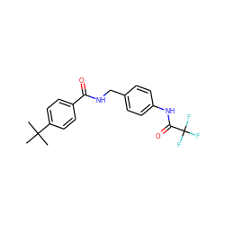 CC(C)(C)c1ccc(C(=O)NCc2ccc(NC(=O)C(F)(F)F)cc2)cc1 ZINC000216795802