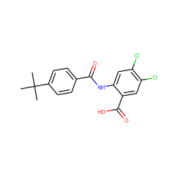 CC(C)(C)c1ccc(C(=O)Nc2cc(Cl)c(Cl)cc2C(=O)O)cc1 ZINC000066124238