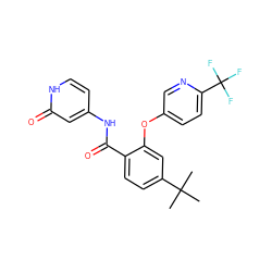 CC(C)(C)c1ccc(C(=O)Nc2cc[nH]c(=O)c2)c(Oc2ccc(C(F)(F)F)nc2)c1 ZINC000143182008