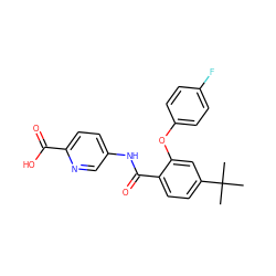 CC(C)(C)c1ccc(C(=O)Nc2ccc(C(=O)O)nc2)c(Oc2ccc(F)cc2)c1 ZINC000143204296