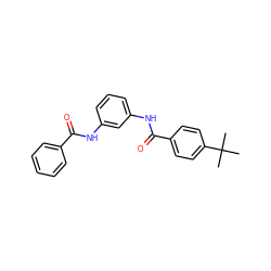 CC(C)(C)c1ccc(C(=O)Nc2cccc(NC(=O)c3ccccc3)c2)cc1 ZINC000001226970