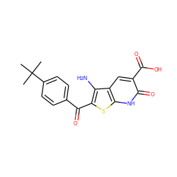 CC(C)(C)c1ccc(C(=O)c2sc3[nH]c(=O)c(C(=O)O)cc3c2N)cc1 ZINC000028902830