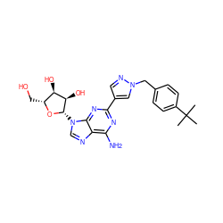 CC(C)(C)c1ccc(Cn2cc(-c3nc(N)c4ncn([C@@H]5O[C@H](CO)[C@@H](O)[C@H]5O)c4n3)cn2)cc1 ZINC000013818988