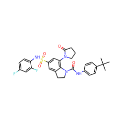 CC(C)(C)c1ccc(NC(=O)N2CCc3cc(S(=O)(=O)Nc4ccc(F)cc4F)cc(N4CCCC4=O)c32)cc1 ZINC000473134787