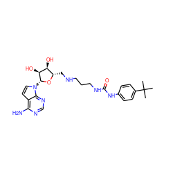 CC(C)(C)c1ccc(NC(=O)NCCCNC[C@@H]2O[C@H](n3ccc4c(N)ncnc43)[C@@H](O)[C@H]2O)cc1 ZINC000169702059