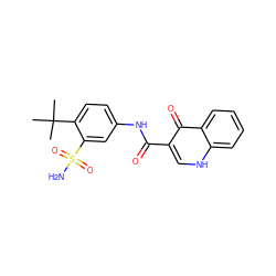 CC(C)(C)c1ccc(NC(=O)c2c[nH]c3ccccc3c2=O)cc1S(N)(=O)=O ZINC000113729034