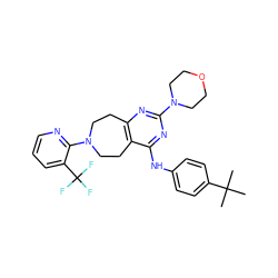 CC(C)(C)c1ccc(Nc2nc(N3CCOCC3)nc3c2CCN(c2ncccc2C(F)(F)F)CC3)cc1 ZINC000145220228