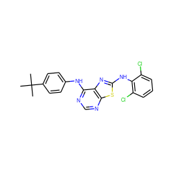 CC(C)(C)c1ccc(Nc2ncnc3sc(Nc4c(Cl)cccc4Cl)nc23)cc1 ZINC000040896597