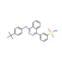 CC(C)(C)c1ccc(Nc2nnc(-c3cccc(S(N)(=O)=O)c3)c3ccccc23)cc1 ZINC000095591775