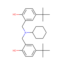 CC(C)(C)c1ccc(O)c(CN(Cc2cc(C(C)(C)C)ccc2O)C2CCCCC2)c1 ZINC000001679626