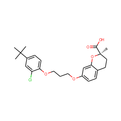 CC(C)(C)c1ccc(OCCCOc2ccc3c(c2)O[C@@](C)(C(=O)O)CC3)c(Cl)c1 ZINC000028111541