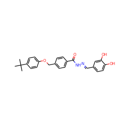 CC(C)(C)c1ccc(OCc2ccc(C(=O)N/N=C/c3ccc(O)c(O)c3)cc2)cc1 ZINC000003219617