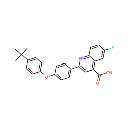 CC(C)(C)c1ccc(Oc2ccc(-c3cc(C(=O)O)c4cc(F)ccc4n3)cc2)cc1 ZINC000096270334