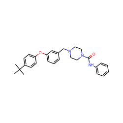 CC(C)(C)c1ccc(Oc2cccc(CN3CCN(C(=O)Nc4ccccc4)CC3)c2)cc1 ZINC000035827734