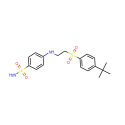 CC(C)(C)c1ccc(S(=O)(=O)CCNc2ccc(S(N)(=O)=O)cc2)cc1 ZINC000028571014