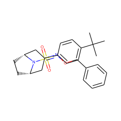 CC(C)(C)c1ccc(S(=O)(=O)N2[C@H]3CC[C@@H]2CC(=NOCc2ccccc2)C3)cc1 ZINC000049785520