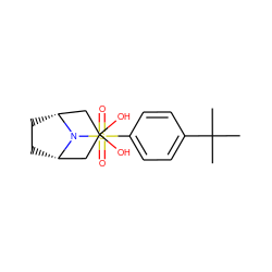 CC(C)(C)c1ccc(S(=O)(=O)N2[C@H]3CC[C@@H]2CC(O)(O)C3)cc1 ZINC000049031423