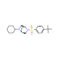 CC(C)(C)c1ccc(S(=O)(=O)N2C[C@@H]3C[C@H]2CN3C2CCCCC2)cc1 ZINC000049046390