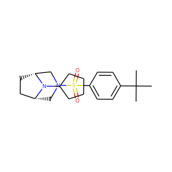 CC(C)(C)c1ccc(S(=O)(=O)N2C[C@@H]3CC[C@H](C2)N3C2CCCC2)cc1 ZINC000049037296