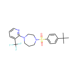 CC(C)(C)c1ccc(S(=O)(=O)N2CCCN(c3ncccc3C(F)(F)F)CC2)cc1 ZINC000029046063