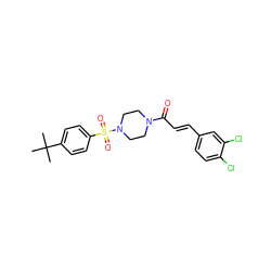 CC(C)(C)c1ccc(S(=O)(=O)N2CCN(C(=O)/C=C/c3ccc(Cl)c(Cl)c3)CC2)cc1 ZINC000215283897