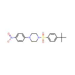 CC(C)(C)c1ccc(S(=O)(=O)N2CCN(c3ccc([N+](=O)[O-])cc3)CC2)cc1 ZINC000005092562