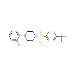 CC(C)(C)c1ccc(S(=O)(=O)N2CCN(c3ccccc3Cl)CC2)cc1 ZINC000002852414