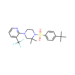 CC(C)(C)c1ccc(S(=O)(=O)N2CCN(c3ncccc3C(F)(F)F)CC2(C)C)cc1 ZINC000029045632