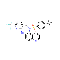 CC(C)(C)c1ccc(S(=O)(=O)N2Cc3ccc(C(F)(F)F)nc3Nc3ccc4ncccc4c32)cc1 ZINC000043196361