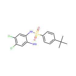 CC(C)(C)c1ccc(S(=O)(=O)Nc2cc(Cl)c(Cl)cc2N)cc1 ZINC001772626191