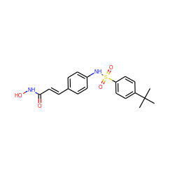 CC(C)(C)c1ccc(S(=O)(=O)Nc2ccc(/C=C/C(=O)NO)cc2)cc1 ZINC000013493378