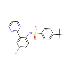 CC(C)(C)c1ccc(S(=O)(=O)Nc2ccc(Cl)cc2-c2ncccn2)cc1 ZINC000474609626