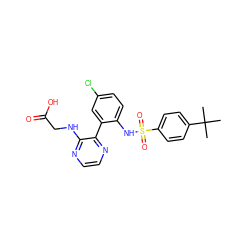 CC(C)(C)c1ccc(S(=O)(=O)Nc2ccc(Cl)cc2-c2nccnc2NCC(=O)O)cc1 ZINC000474606895