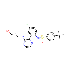 CC(C)(C)c1ccc(S(=O)(=O)Nc2ccc(Cl)cc2-c2nccnc2NCCCO)cc1 ZINC000474609835