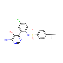 CC(C)(C)c1ccc(S(=O)(=O)Nc2ccc(Cl)cc2-c2ncnc(N)c2O)cc1 ZINC000474605012