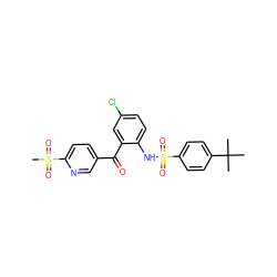 CC(C)(C)c1ccc(S(=O)(=O)Nc2ccc(Cl)cc2C(=O)c2ccc(S(C)(=O)=O)nc2)cc1 ZINC000034177538