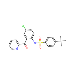 CC(C)(C)c1ccc(S(=O)(=O)Nc2ccc(Cl)cc2C(=O)c2ccccn2)cc1 ZINC000034207250