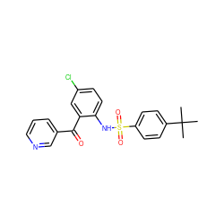 CC(C)(C)c1ccc(S(=O)(=O)Nc2ccc(Cl)cc2C(=O)c2cccnc2)cc1 ZINC000038839494