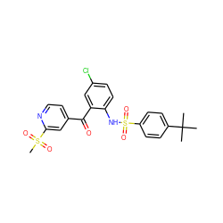 CC(C)(C)c1ccc(S(=O)(=O)Nc2ccc(Cl)cc2C(=O)c2ccnc(S(C)(=O)=O)c2)cc1 ZINC000036414672