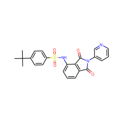 CC(C)(C)c1ccc(S(=O)(=O)Nc2cccc3c2C(=O)N(c2cccnc2)C3=O)cc1 ZINC000653851654