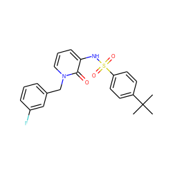 CC(C)(C)c1ccc(S(=O)(=O)Nc2cccn(Cc3cccc(F)c3)c2=O)cc1 ZINC000004913799