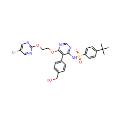 CC(C)(C)c1ccc(S(=O)(=O)Nc2ncnc(OCCOc3ncc(Br)cn3)c2-c2ccc(CO)cc2)cc1 ZINC000026992612